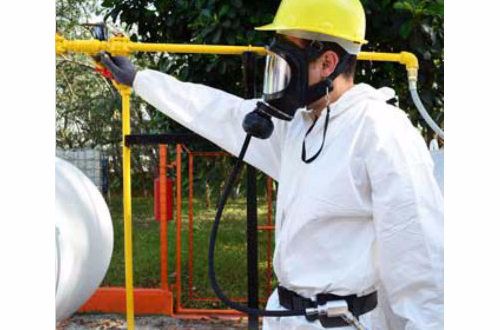 Proteo respiratoria CjPP
