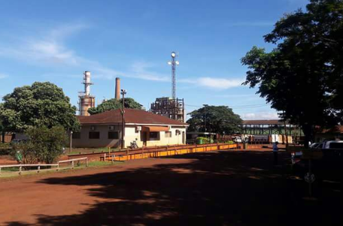 Consultor da LEAL Acompanha Representante em Visitas de Campo