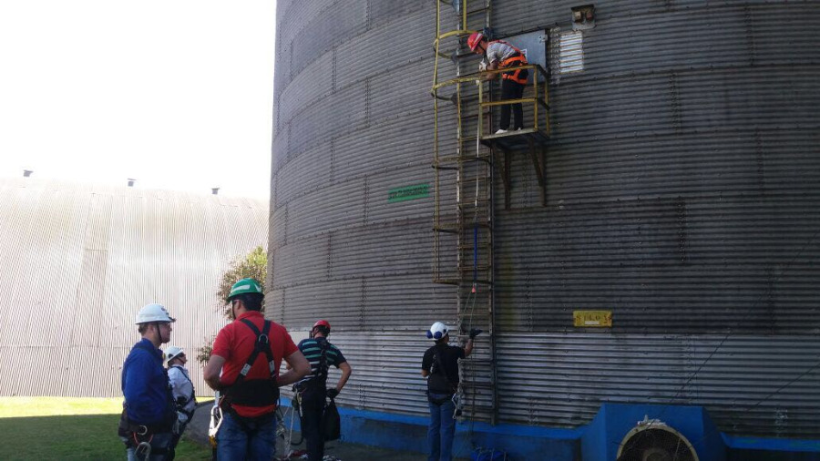 LEAL Realiza Treinamento em Grande Frigorfico